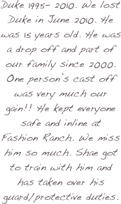 Duke 1995- 2010. We lost Duke in June 2010. He was 15 years old. He was a drop off and part of our family since 2000. One person’s cast off was very much our gain!! He kept everyone safe and inline at Fashion Ranch. We miss him so much. Shae got to train with him and has taken over his guard/protective duties. 